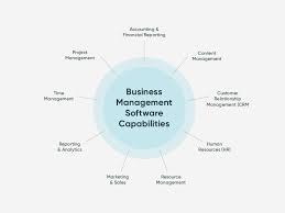 Is business management software good?