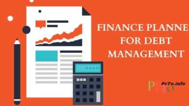 Finance Planner for Debt Management